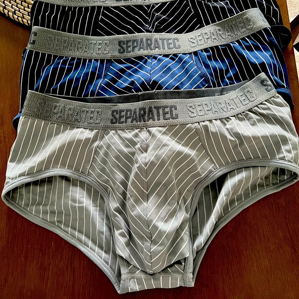 3 Pair Seperatec Briefs NWOP